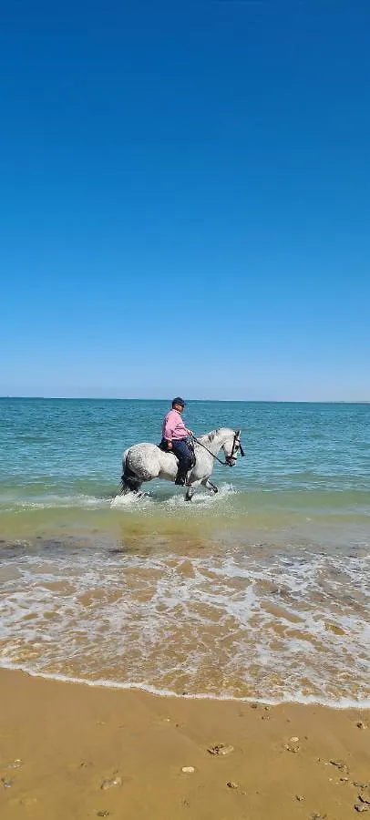 דירות Sanlúcar de Barrameda Next To Piletas